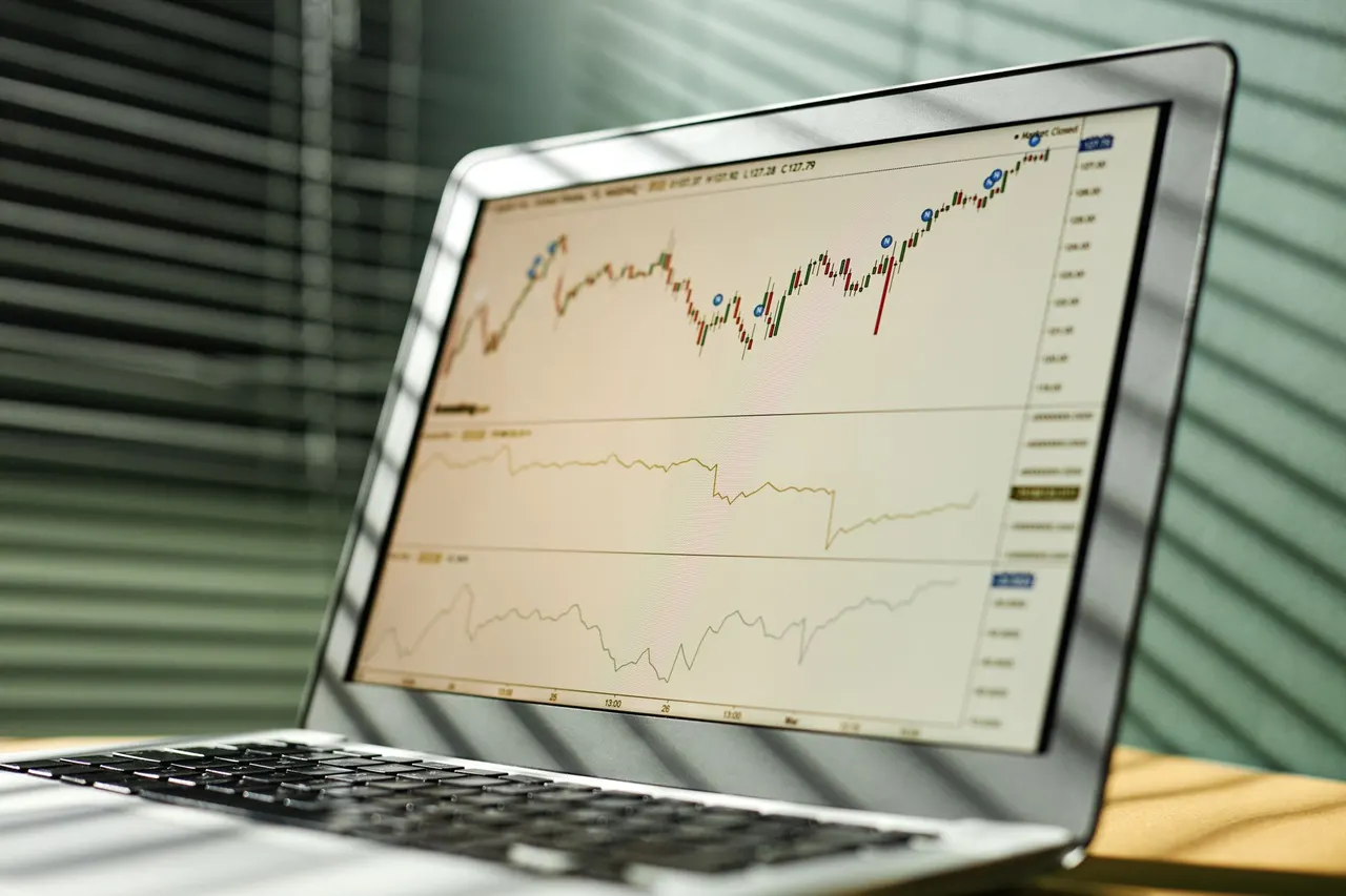 Computer Trading Business in the UAE