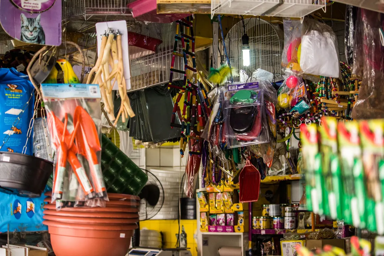 Pet Shop Business in the UAE
