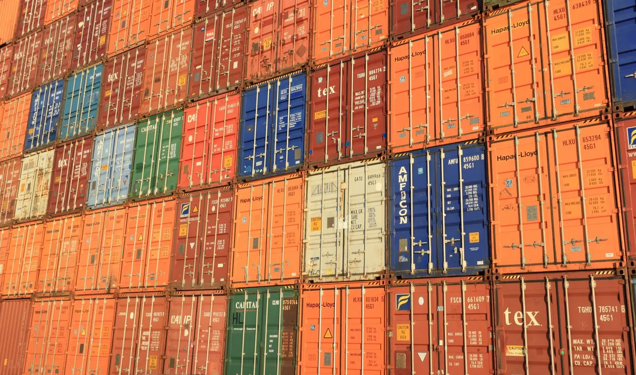 Start an Import/Export Business in UAE 2026